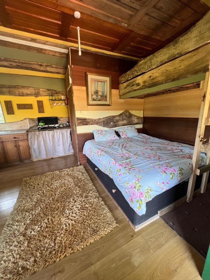 Foxglove Eco Lodge Лланеллі Екстер'єр фото