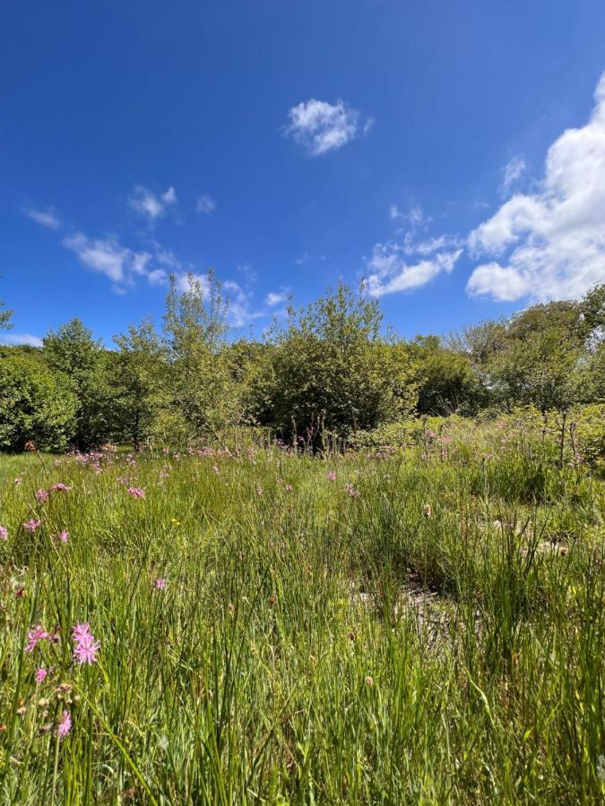 Foxglove Eco Lodge Лланеллі Екстер'єр фото